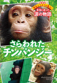 野生チンパンジーの世界　第1版 野生チンパンジーの世界［新装版］ | ジェーン・グドール, 杉山幸丸