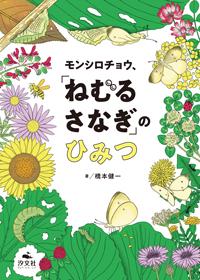 ねむるページ モンシロチョウ、「ねむる さなぎ」のひみつ | 株式会社汐文社（ちょう