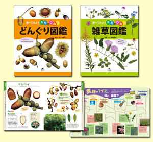 調べてみよう名前のひみつ 植物編 全2巻 株式会社汐文社 ちょうぶんしゃ