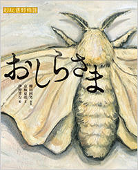 おしらさま